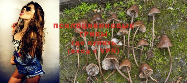прущая мука Баксан